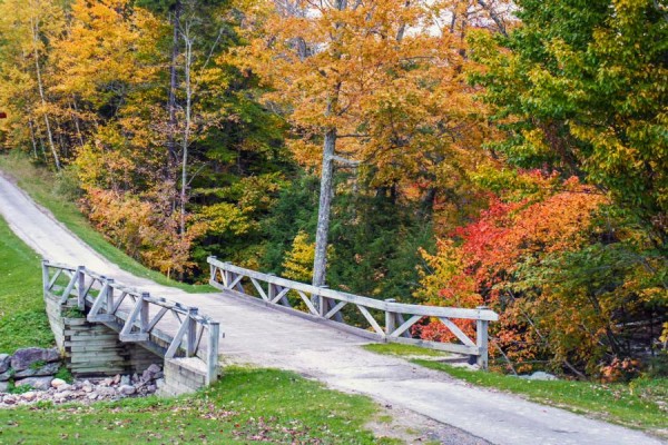 am waldrand im herbst - (c) r plock.jpg